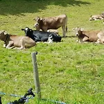 Am Schlossberg Lägenhet