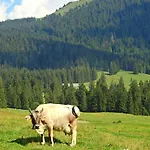 Lägenhet Am Schlossberg Oberstaufen
