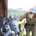 شقة Am Schlossberg اوبرستوفن