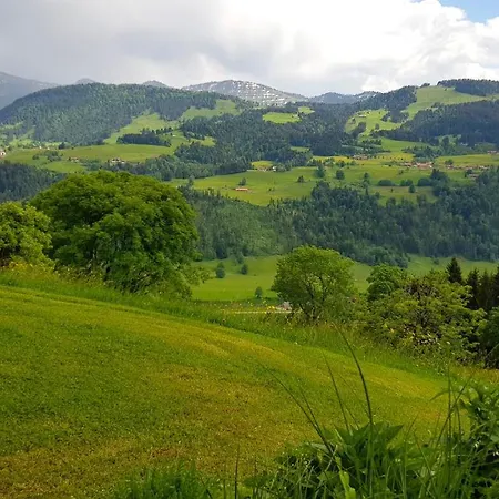 Am Schlossberg Oberstaufen