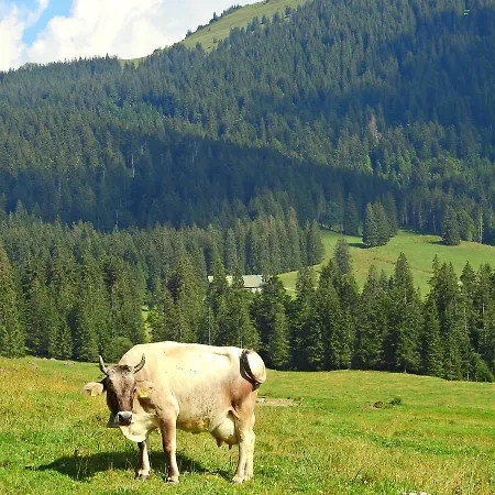 Apartmán Am Schlossberg Oberstaufen