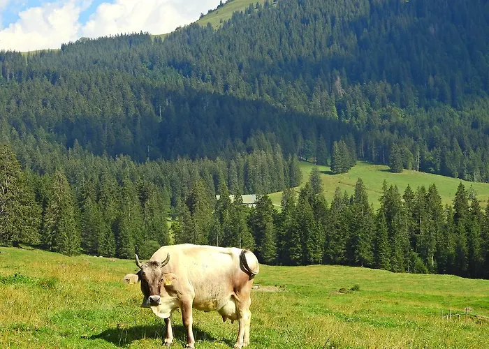 Apartamento Am Schlossberg Oberstaufen